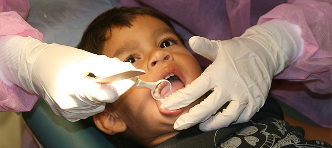 Community Health Fair